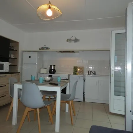 Vakantiehuis Maison De A Fromentine - 35m², Animaux Admis, 4 Personnes - Fr-1-540-309