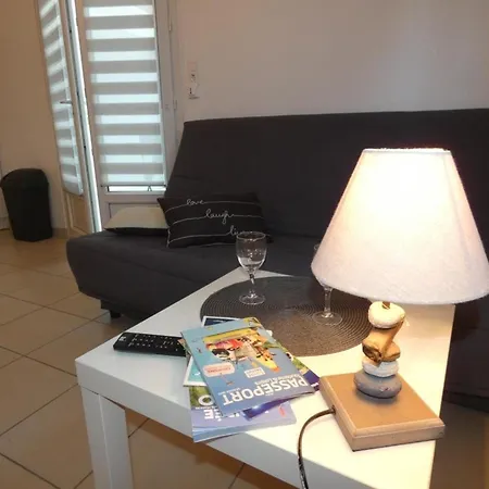 Maison De A Fromentine - 35m², Animaux Admis, 4 Personnes - Fr-1-540-309