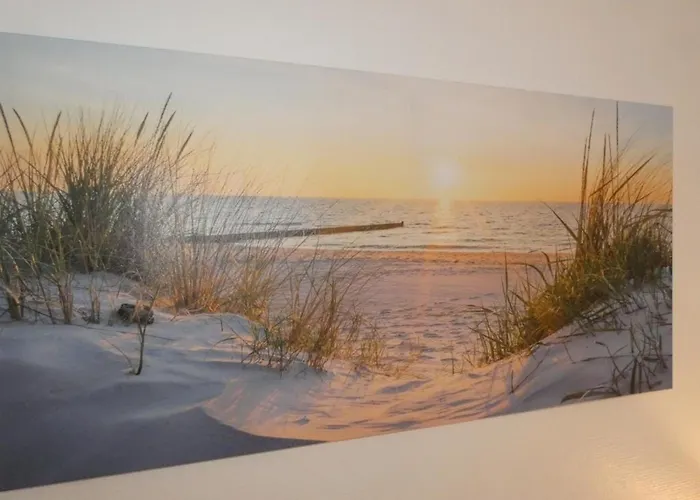 Maison De A Fromentine - 35m², Animaux Admis, 4 Personnes - Fr-1-540-309 * La Barre-de-Monts