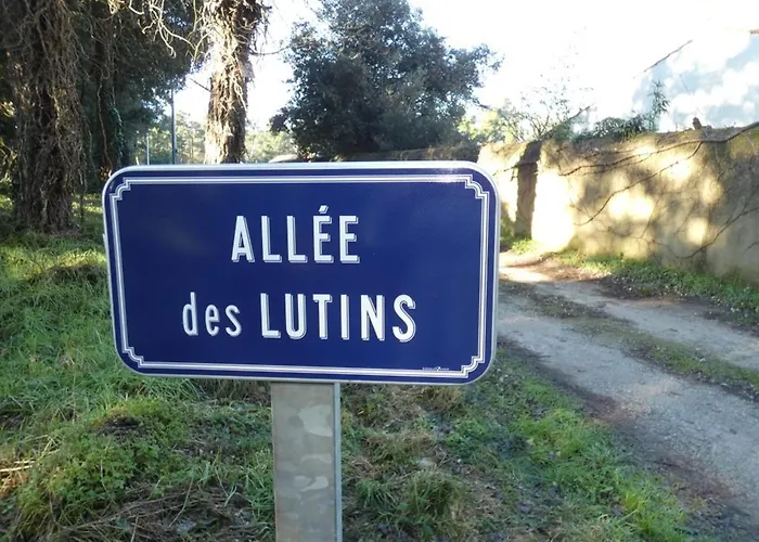 Tatil Evi Maison De A Fromentine - 35m², Animaux Admis, 4 Personnes - Fr-1-540-309 La Barre-de-Monts