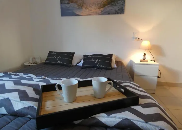 Maison De A Fromentine - 35m², Animaux Admis, 4 Personnes - Fr-1-540-309 La Barre-de-Monts