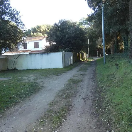 Hébergement de vacances Maison Fromentine 4 Pers, Véranda, Animaux Admis, Jardin, Parking - Fr-1-540-309 La Barre-de-Monts