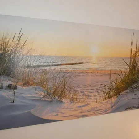 Maison Fromentine 4 Pers, Véranda, Animaux Admis, Jardin, Parking - Fr-1-540-309 * La Barre-de-Monts