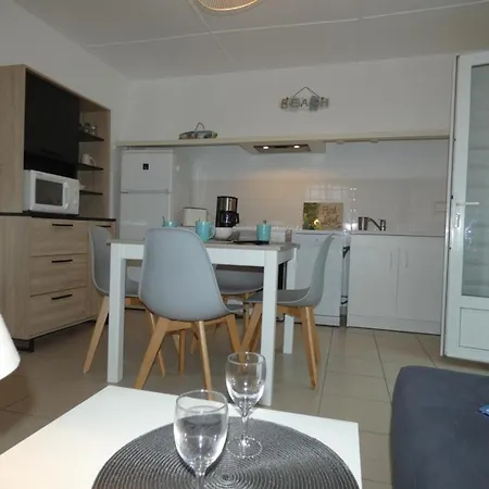 Maison De A Fromentine - 35m², Animaux Admis, 4 Personnes - Fr-1-540-309 *